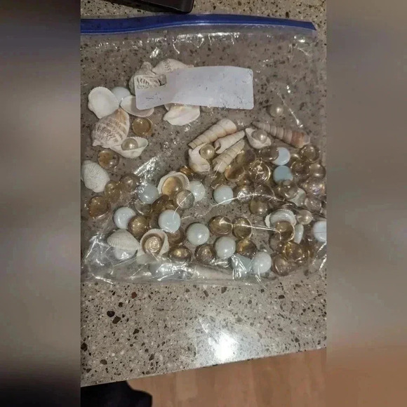 Seashell Vase Filler Decoration (New) - Picture 2 of 2